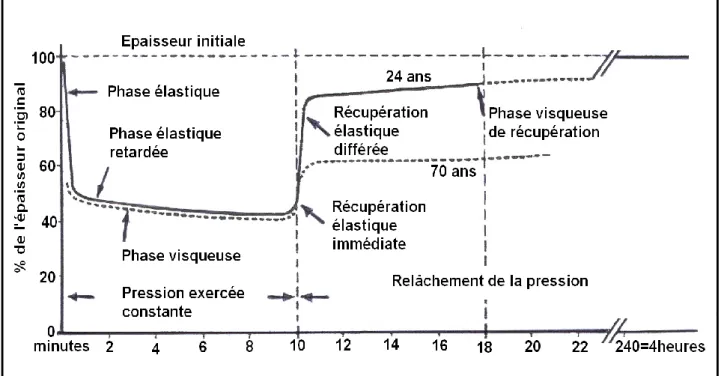 Figure 7 : Diagramme de visco-élasticité de la muqueuse                                          d’après DALY-KIDD-WHEELER 