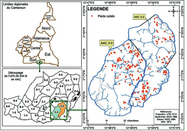 Figure 1 : Localisation de l’UFA 09 004b et des tiges d’Okan cubées.