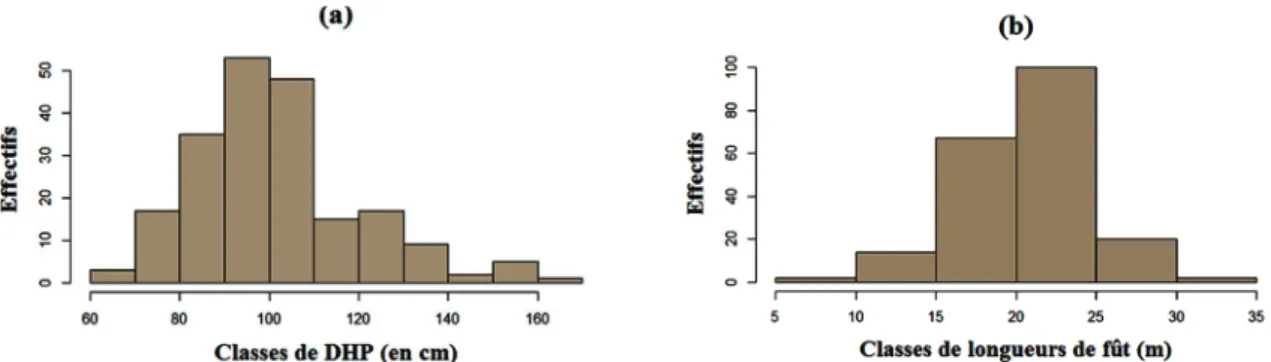 Figure 2 : Distribution des tiges cubées dans les différentes classes de DHP (a) et de longueurs (b).