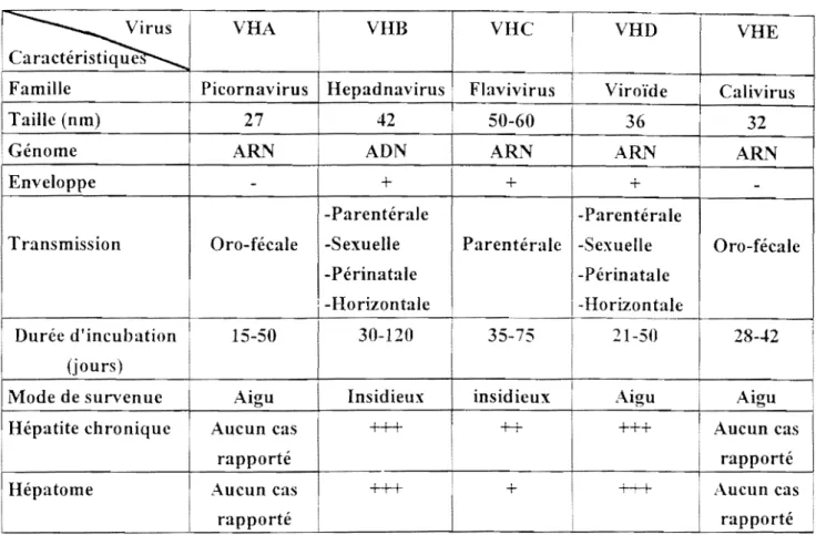 Tableau IV  : Tableau  recapitulatif montrant les  caracteristiques des  differcnts virus des  hepatites 