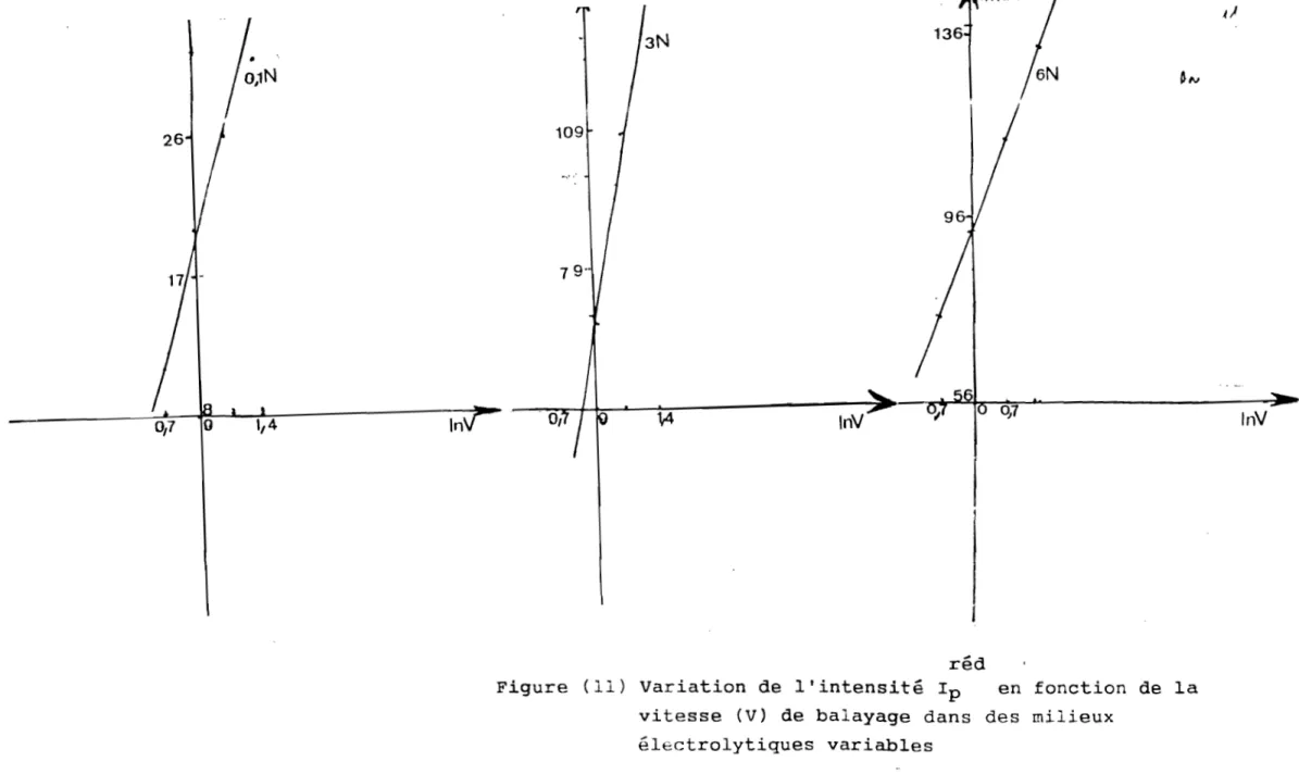 Figure  (11)  Variation  de  l'intensité  Ip  en  fonction  de  la  vitesse  (V)  de  balayage  dans  des  milieux 