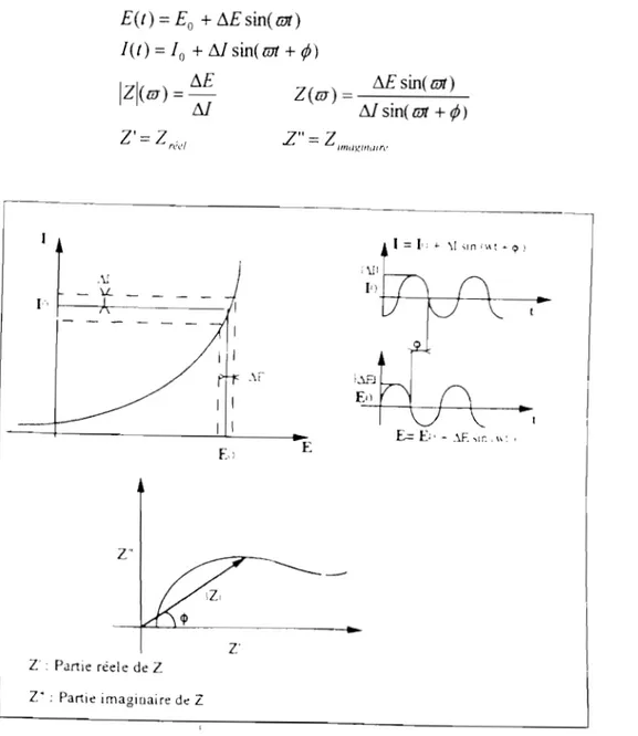 Fig.  II.6  : Principe de  la  mesure d'impédance électrochimique 