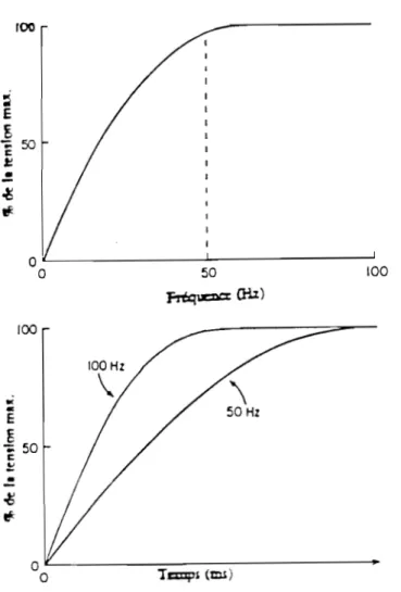 Fig.  1  A)  Une  activation  de  50  Hz  est  suffisante  pour  produire  la  contraction  tétanique maximale du  court extenseur des orteils