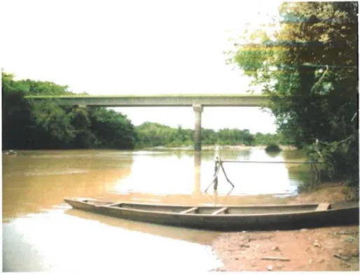 Figure 3: Vue partielle du fleuve Comoé à la station de Kafolo (Cl).