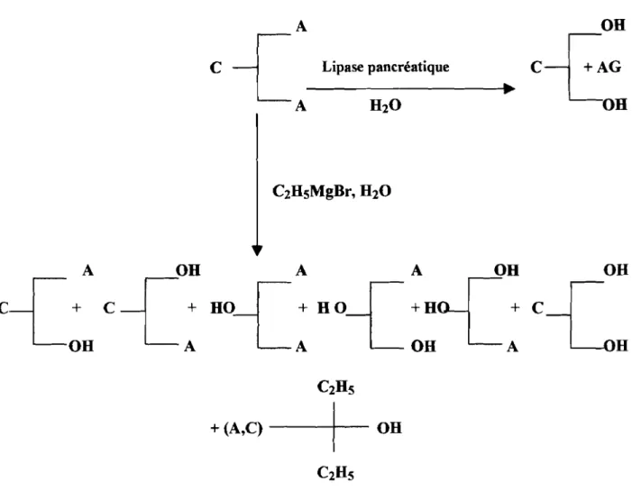 Figure 12 : Analyse par voie chimique et enzymatique de la régiodistribution en AG et TAG