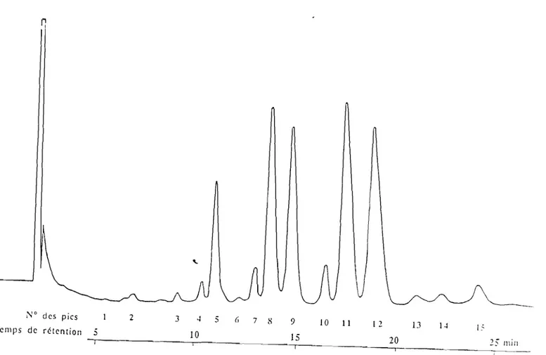 Figure 14 : Chromatogramme des triacylglycérols de l'huile de la pulpe de safou