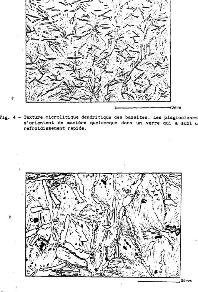 Fig. 5 - Détail des microcristaux de plagioclases squelettiques très allongés et quelquefois courbés.