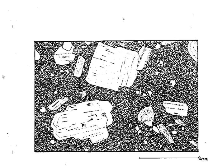 Fig. 7 - Texture microgrenue porphyrique des filons de nature dacitique.