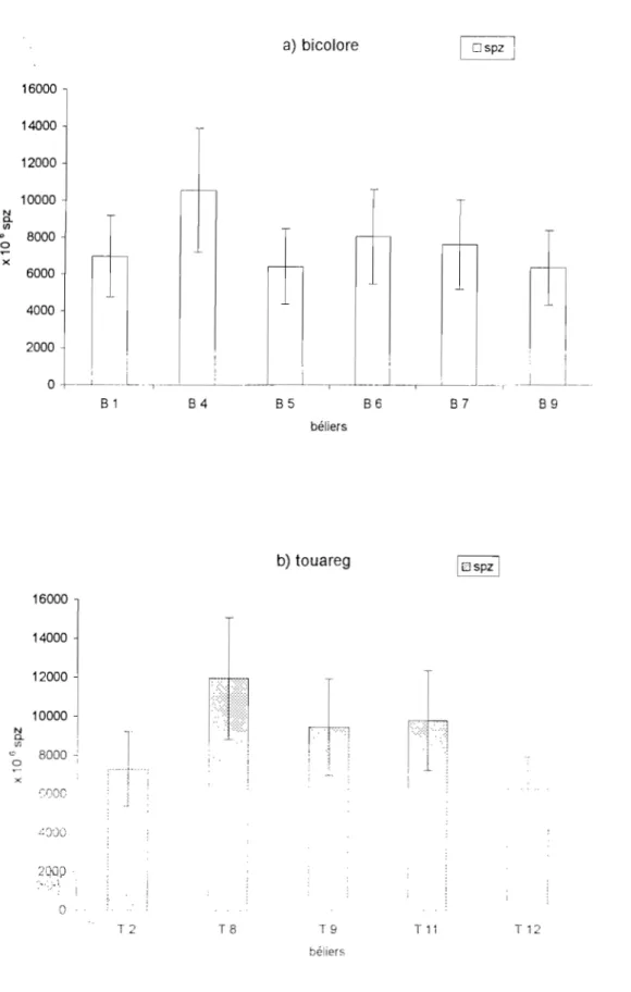 Fig  n017:  Variations individuelles du  nombre total  moyen  de  spermatozoïdes  chez  les deux  races de  béliers 