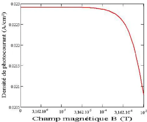 Figure III-1 : Densité de photocourant en fonction du champ magnétique avec S g  = 56,234 cm/s et g = 0,02 cm 