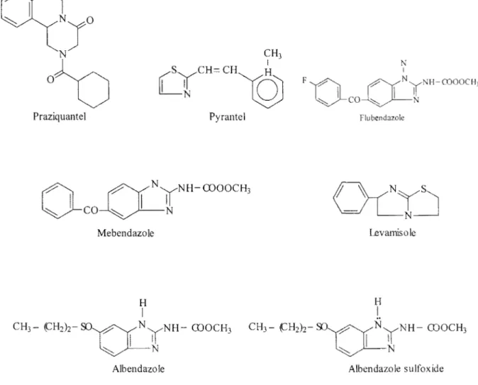Figure 1.1  : Quelques structures des  molécules de synthèse et leur noyau de  base 