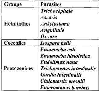Tableau 1-1 : les parasites intestinaux les plus répandus au Congo [11]