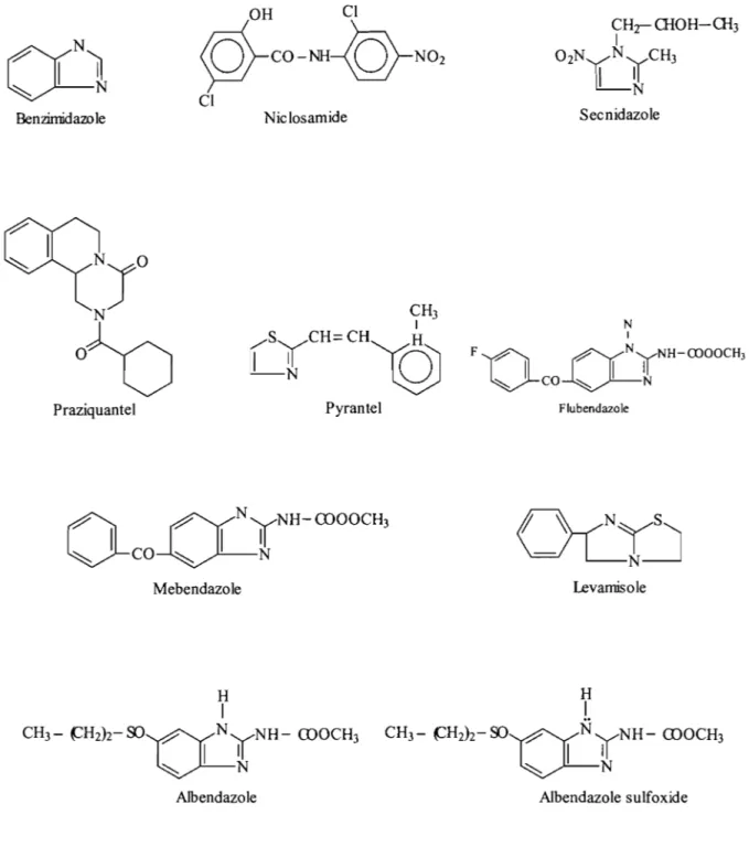 Figure  I.l :  Quelques structures des molecules de synthese et leur noyau  de base 
