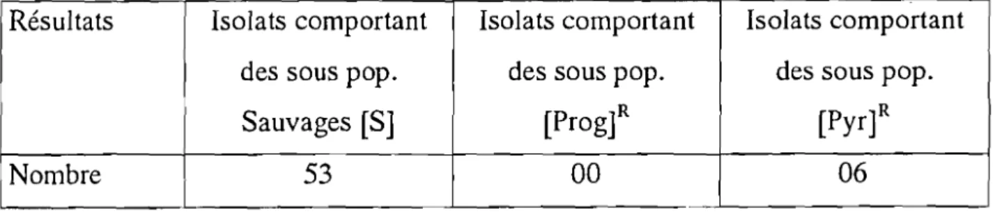 Tableau VI. Résultats globaux de la digestion enzymatique de 192 isolats . [DHFR+].