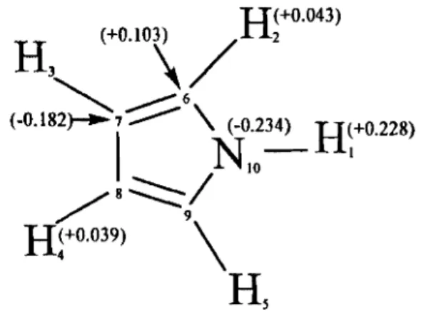 Figure 2.2: Répartition des charges neltes dans la molécule du pyrolle