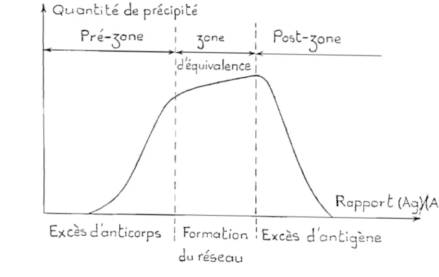 Figure 9  : Courbe de  variation  dc  la  quantité de  précipité  en  fonction  du  rapport Ag - Ac 