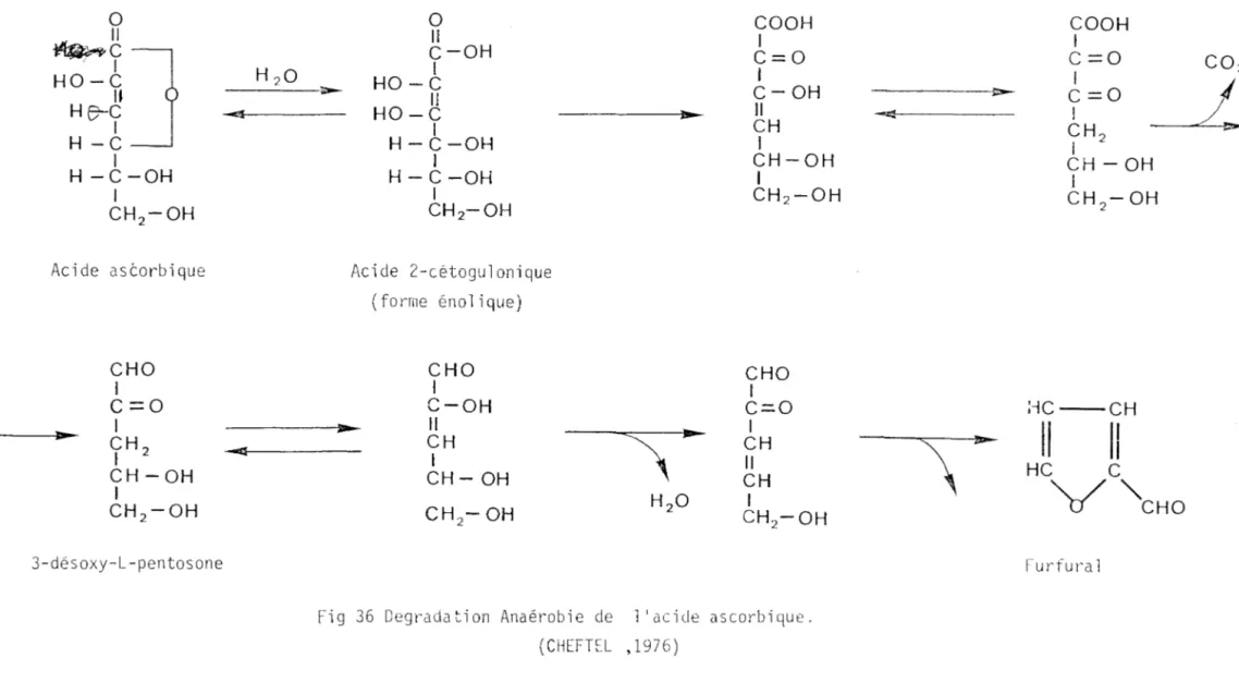 Fig  36  Degradation  Anaérobie  de  l'acide  ascorbique. 