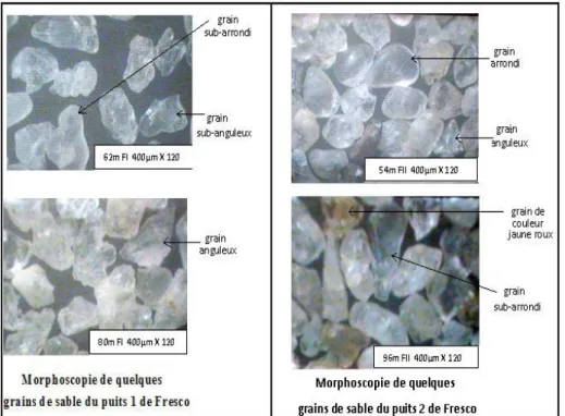 Figure  4.  Quelques  aspects  morphoscopiques  des grains  de quartz issus  des  puits  Fresco 1  et  Fresco 2.