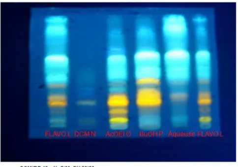 Figure 3- 1: Profil CCM analytique de de la fraction flavonoïdique (L), des phases DCM (N),  AcOEt (O), BuOH (P) et phase aqueuse (Q) des feuilles de P