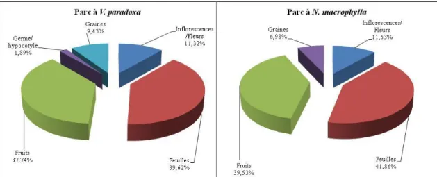 Figure 17 : Pourcentage des différents organes utilisés des plantes comestibles des parcs 