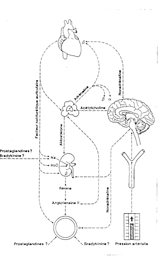 Figure  2  pressIOn  1  1  1  1 1 1 I -1:r:  ,C  F 