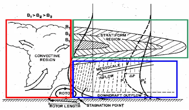 Figure 14 : Coupe verticale d’un schéma de ligne de grains d’après LAFORE et MONCRIEFF, (1989) 