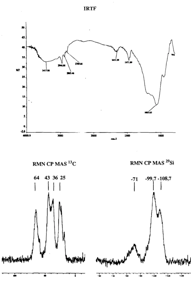 Figure 2: Spectres IRTF, RMN CP MAS 29Si et l3C du solide ~