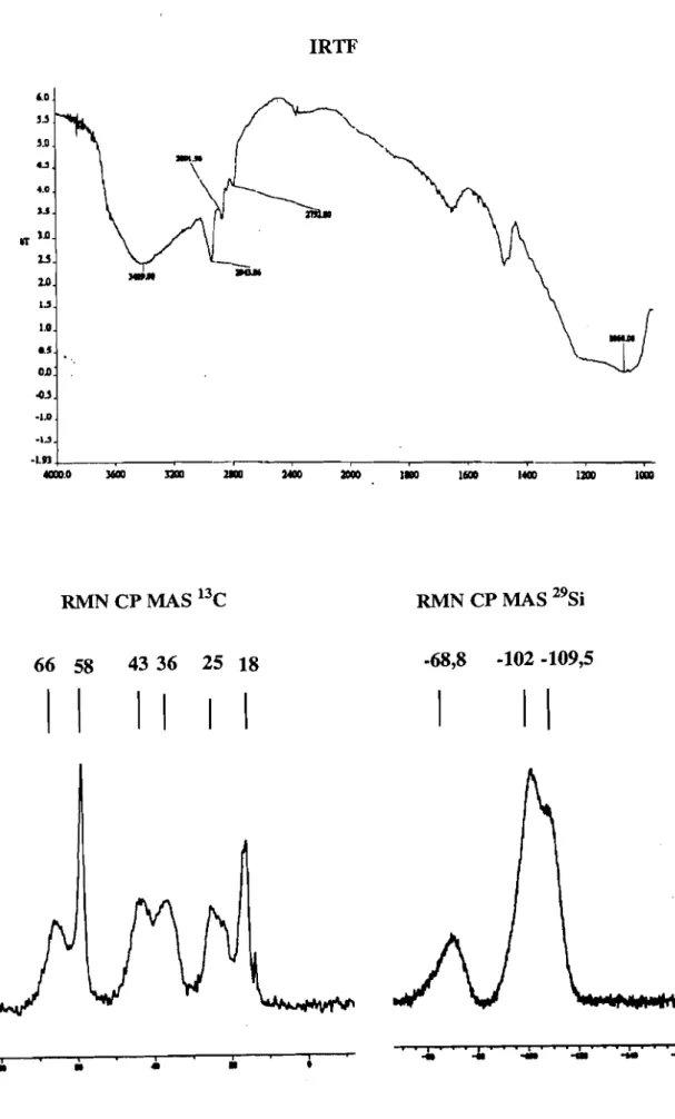 Figure 4 : Spectres IRTF, RMN CP MAS 29Si et l3C du Solide ~d