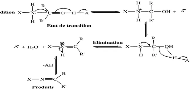 Figure 22: Mécanisme de formation  des thiosemicarbazones selon Carey. 