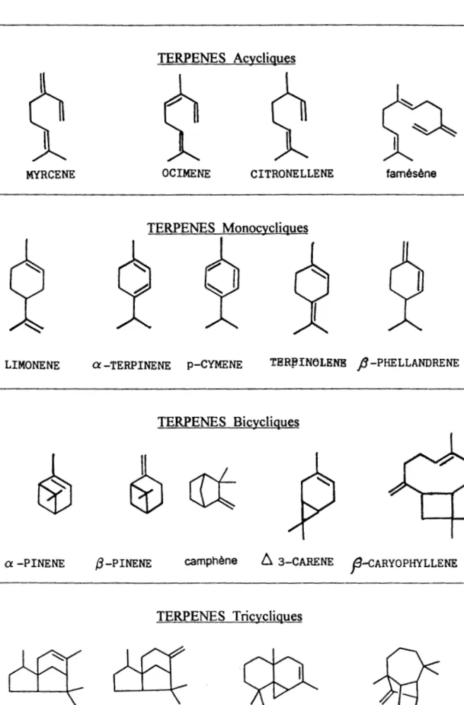 Tableau  2 :  Molécules  terpéniques 