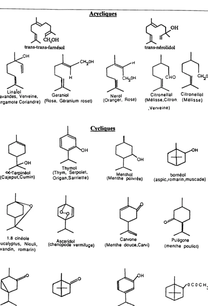 Tableau  3 :  Monoterpénoides oxygénés 