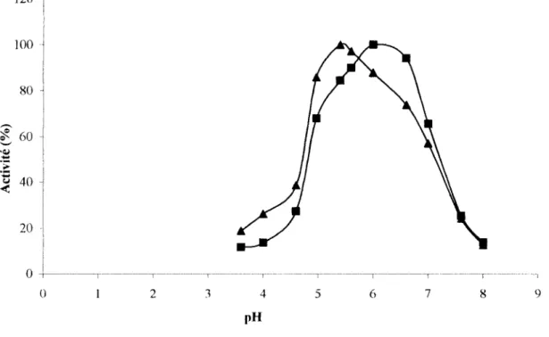 Figure  30  :  Détermination  des  pH optimums d'hydrolyse des  0-Gic A  et B  de l'ouvrier  du termite Macrotermes subhyalinus