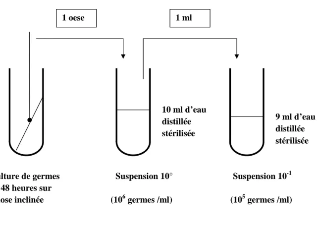 Figure 7: Schéma de la préparation de l’inoculum 