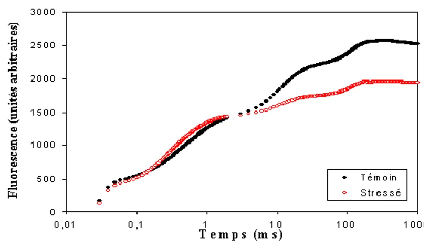 Figure 6:Courbe d'induction de fluorescence 