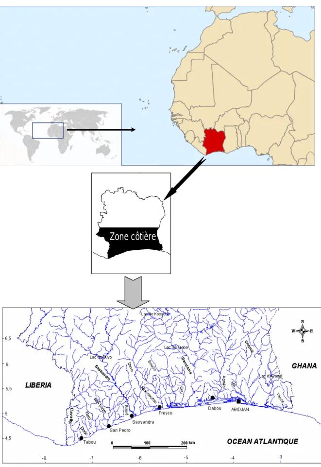 Figure 1 : Présentation de la zone côtière ivoirienne et son   régime hydrographique. 