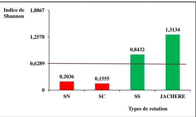 Figure V.4: Variation de l’indice de diversité des termites des différentes rotations à Saria I  par rapport à la diversité moyenne (IS moyen = 0,6289) 