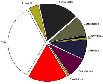 Figure 3 : Fréquences relatives des principaux agents infectieux retrouvés dans les  avortements chez les bovins (Source, Berger, 1998)