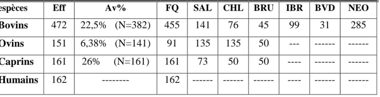Tableau II : Nombre de sérums étudiés pour rechercher la présence et les  prévalences de la FQ et des principales maladies abortives en fonction de l’espèce et 