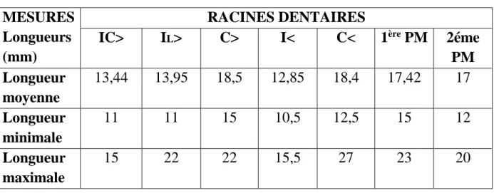 Tableau  III :  valeurs  moyenne,  minimale  et  maximale  des  longueurs  des  racines  dentaires  mono-radiculées  des  sujets  mélanodermes  africains  selon  ABOUATTIER