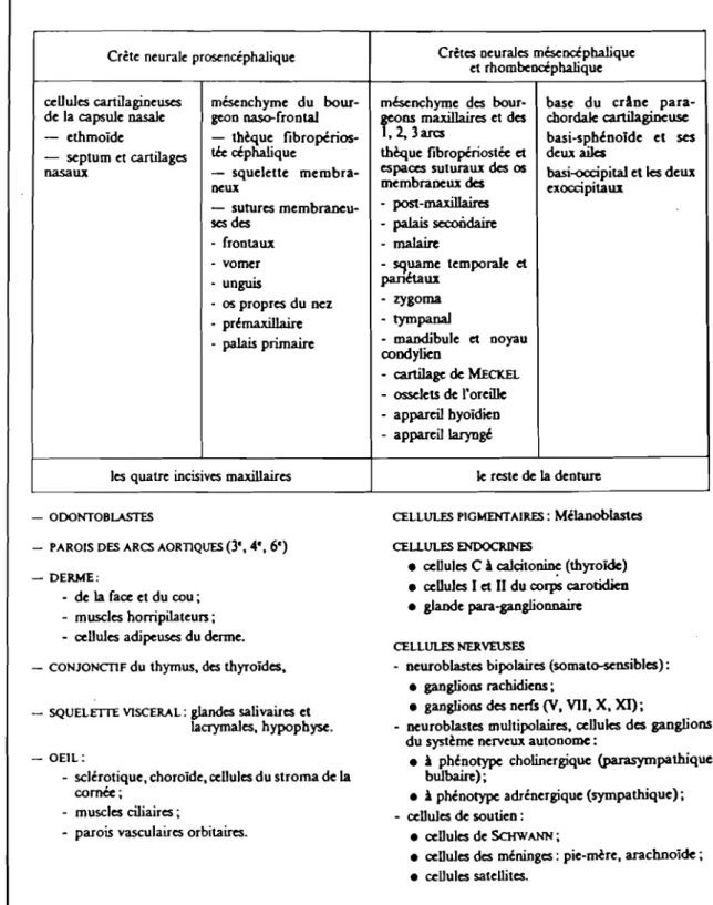 TABLEAU 1 : Dériv~s c~phaliques des crêtes neurales.