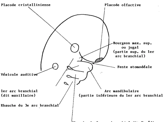 FIG. 14 - Vue de Profil