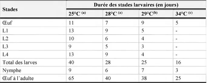 Tableau  2  :  Durée  de  développement  des  différents  stades  de  R.  dominica  en  fonction  de  la  température et de l’humidité relative (Edde,  2012).