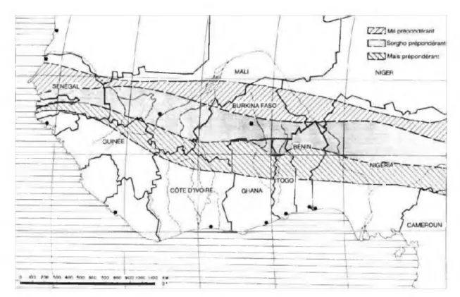 Figure 4  :  Bassin de production du sorgho en Afrique de l'Ouest (Chantereau et Nicou,  1991)
