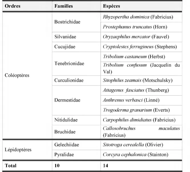 Tableau  4  :  Abondance  et répartition  des  espèces  identifiées  par famille  et  par ordre  dans  les  stocks de  sorgho au Burkina