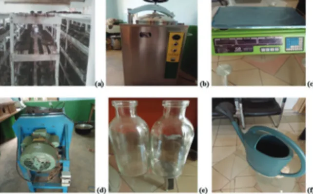 Figure  2  :  (a)  Rafles  de  maïs  ;  (b)  Blanc  mère  ;  (c)  Calcaire ; (d) Fongicide (Tropik 720) ; (e) Pleurote en  fructification ; (f) Milieu de culture sur grains de maïs