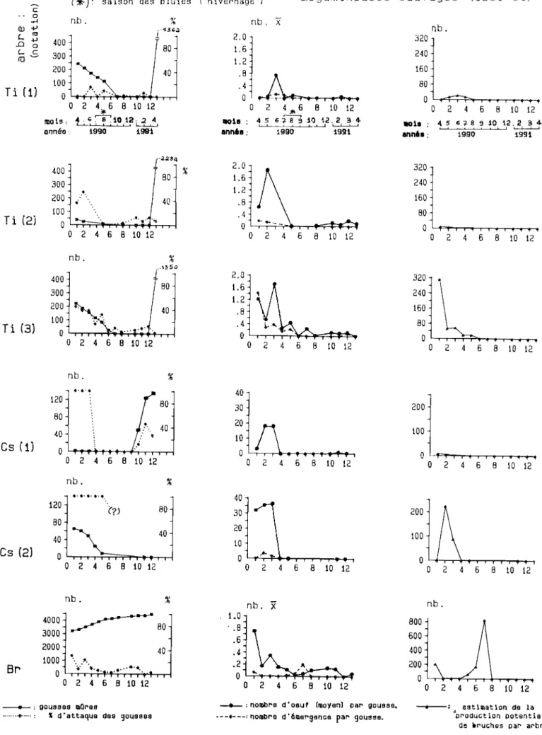 Fig. 5: Evolution de l'infestation par C. serratus des légumineuses sauvages suivies dans le site d'étude en 1990-91