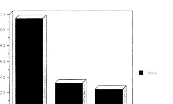 Figure  14  :  Répartition  des  déformations  selon1e segmçnt rachidien anetnt 