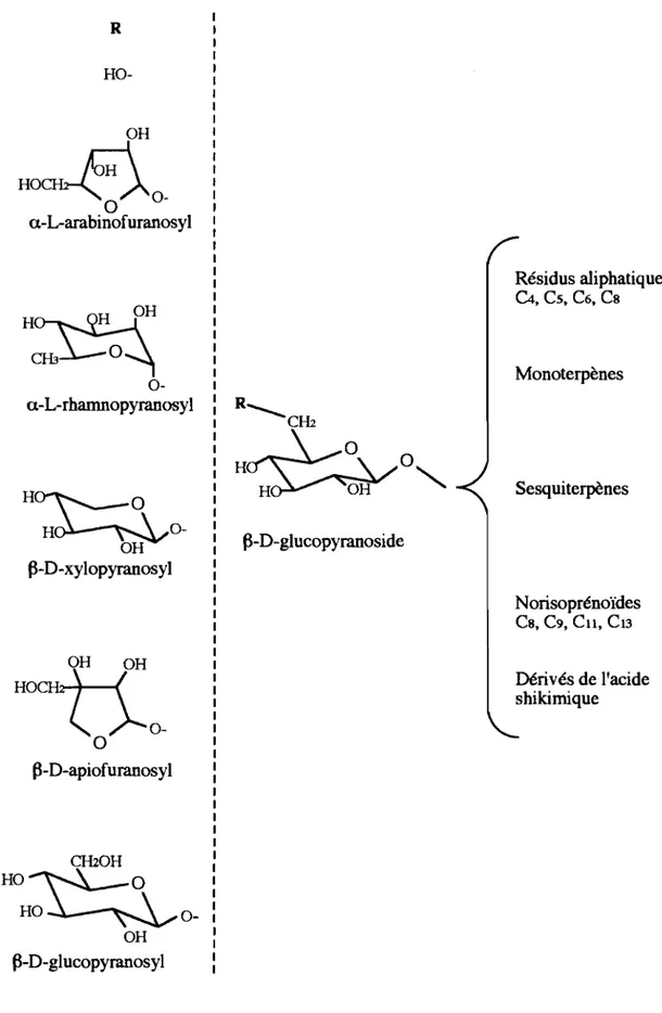 Figure 2: Nature des glycosides identifiés comme préeurseurs d'arôme dans divers froils.