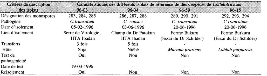 Tableau  Vlb  :  Caractéristiques et origines des isolats de  Colletotrichum  spp.  du Niger et du Nigeria 