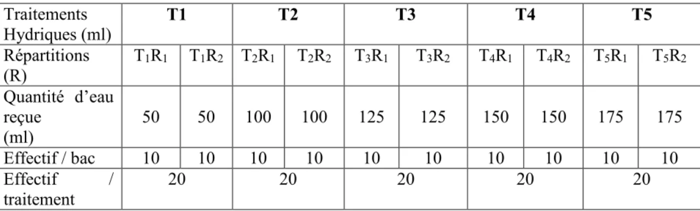 TABLEAU III : Répartition des escargots Achatina achatina (L.) et quantité  d’eau reçue (ml)  Traitements   Hydriques (ml)  T1  T2  T3  T4  T5  Répartitions  (R)  T 1 R 1   T 1 R 2   T 2 R 1   T 2 R 2   T 3 R 1   T 3 R 2 T 4 R 1   T 4 R 2   T 5 R 1   T 5 R